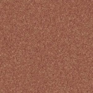 NEWBERN CLASSIC 12' by Shaw Floors - Sunburst