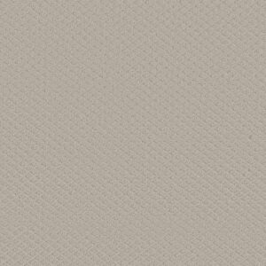 ENTWINED WITH YOU by Shaw Floors - Rock Crystal