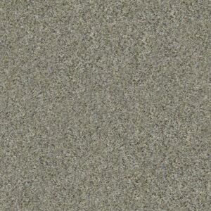 ALL SET II by Shaw Floors - Beach Walk