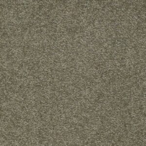 ULTIMATE EXPRESSION 12' by Shaw Floors - Alpine Fern