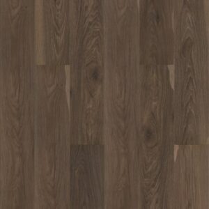 Pantheon HD+ NATURAL BEVEL by Shaw Floors - Charred Earth