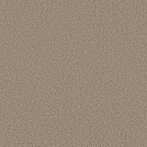 ELEMENTAL MIX I by Shaw Floors - Sand Castle