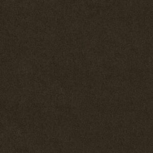 SOURCE II by Shaw Floors - Buckeye