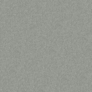 SOURCE II by Shaw Floors - Drizzle