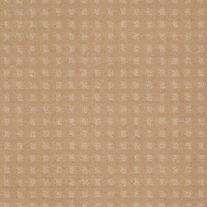 THE FAIR by Shaw Floors - Natural Grain