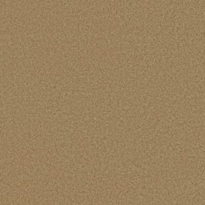 MY INSPIRATION III by Shaw Floors - Honey Pot