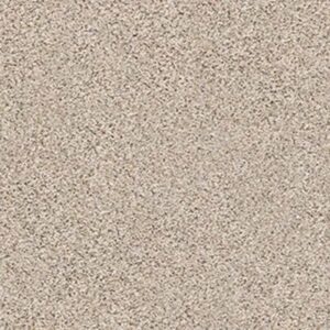 NATURE PATH by Shaw Floors - Gentle Rain