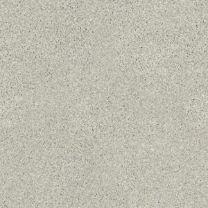 PICTURESQUE by Shaw Floors - Cold Water