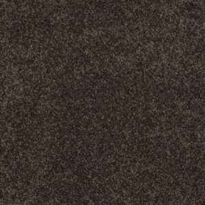 YOU KNOW IT by Shaw Floors - Cabot Trail