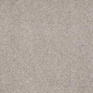 SHINGLE CREEK IV 12' by Shaw Floors - London Fog
