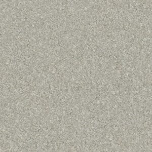 ATTAINABLE by Shaw Floors - Soft Fleece