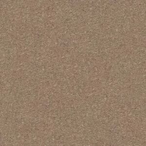 ATTAINABLE by Shaw Floors - Cork