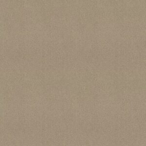 TIMELESS APPEAL III 12' by Shaw Floors - Soft Shadow