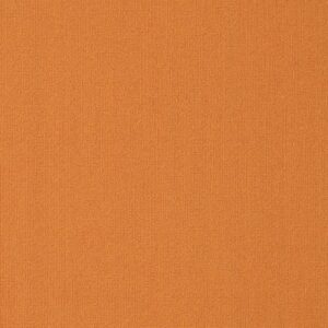 COLOR ACCENTS 18 X 36 by Philadelphia Commercial - Orange