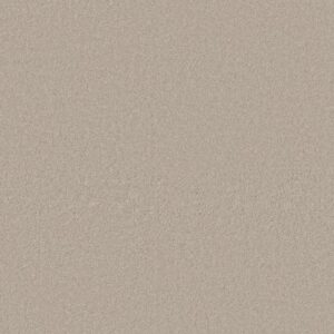 CASHMERE CLASSIC I by Shaw Floors - Bismuth