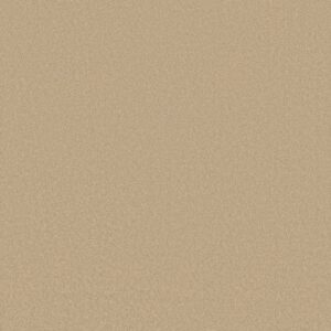 CORNER CAFE 12' by Shaw Floors - Cashew