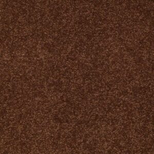 CORNER CAFE 12' by Shaw Floors - Tortoise Shell