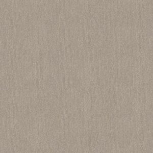 TRANQUIL WATERS by Shaw Floors - Buff