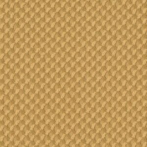 INSPIRED DESIGN by Shaw Floors - Turmeric