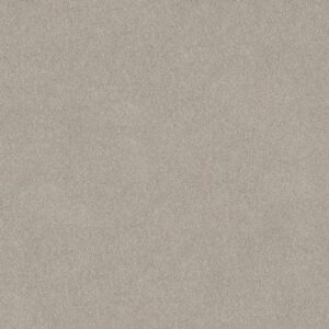 COZY HARBOR I by Shaw Floors - Baltic Stone
