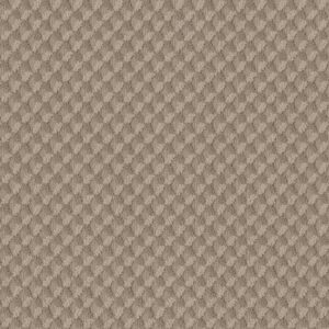 INSPIRED DESIGN by Shaw Floors - Tumbleweed