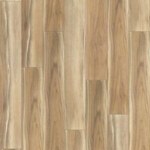 Tenacious HD+ Accent by Shaw Floors - Sunbaked