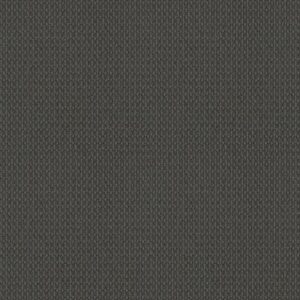 MODESTA by Shaw Floors - Skyline