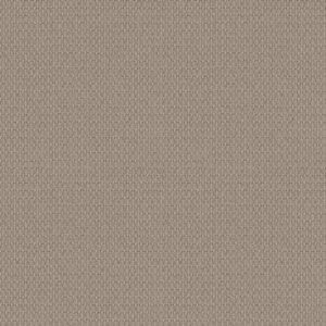 MODESTA by Shaw Floors - Pearl