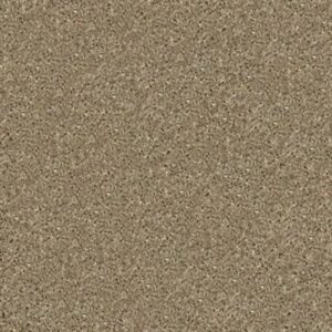 HARLEY STREET I by Shaw Floors - Dusk