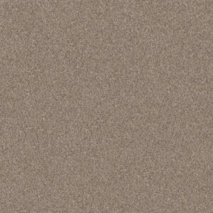 YES YOU CAN III 15' by Shaw Floors - Subtle Clay