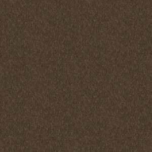 TAKE AWAY (S) by Shaw Floors - Mocha