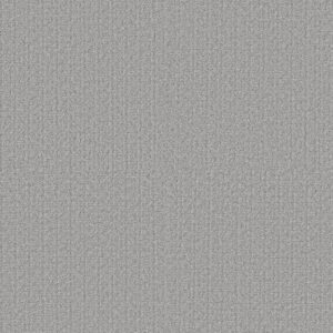 SECRET PASSAGE by Shaw Floors - Silver Lining
