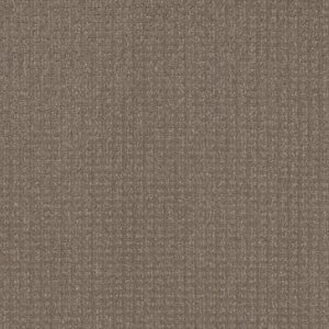 STAY FIT by Shaw Floors - Papoose