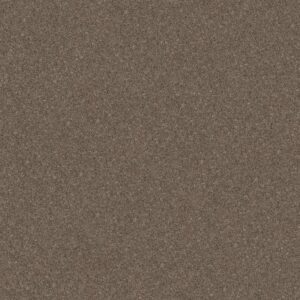 GO AFTER IT 2 by Shaw Floors - Tree House