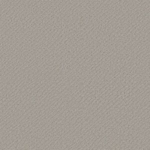 CHIC SHADES by Shaw Floors - Silver Lining