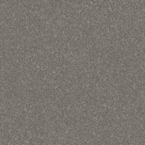 YES YOU CAN III 15' by Shaw Floors - Vintage