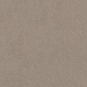 HARD AT PLAY I 15' by Shaw Floors - Glacier