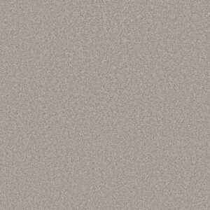 BOUNDLESS IV by Shaw Floors - White Wash