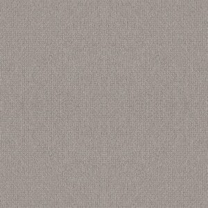 EMBELLISHED by Shaw Floors - Ashen