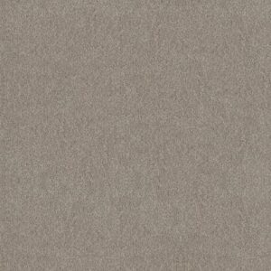 TRUSPLENDOR by Shaw Floors - Lady Liberty