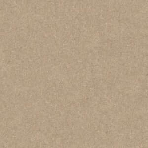 SMOOTH TALK I by Shaw Floors - Tassel