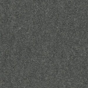EXPLORER by Shaw Floors - Blue Dusk