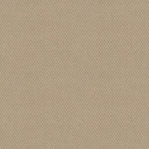 CATHEDRAL HILL II by Shaw Floors - Glowing