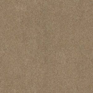 OCEAN VIEW by Shaw Floors - Caramelo