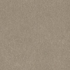 OCEAN VIEW by Shaw Floors - Clay