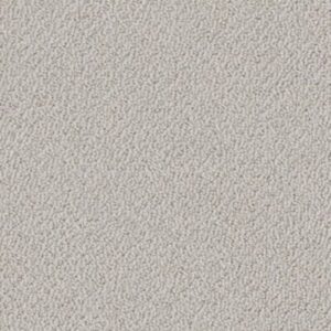 TRULY RELAXED LOOP by Shaw Floors - Ash