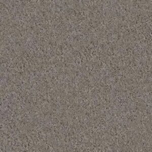 STEP RIGHT UP I 15' by Shaw Floors - Thunder