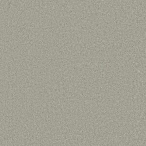 AROUND THE HOUSE III by Shaw Floors - Sheer Silver