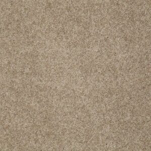 MY INSPIRATION II by Shaw Floors - Cappuccino