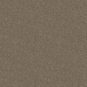 GRANDIOSE by Shaw Floors - Raw Wood